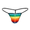 G-STRING PROVOCATEUR ARC-EN-CIEL L nº2