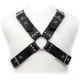 BUCKLES HARNESS