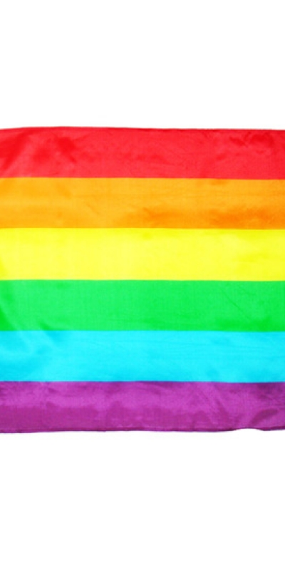 BANDERA ORGULLO Drapeau 60 x 90 fierté lgbt