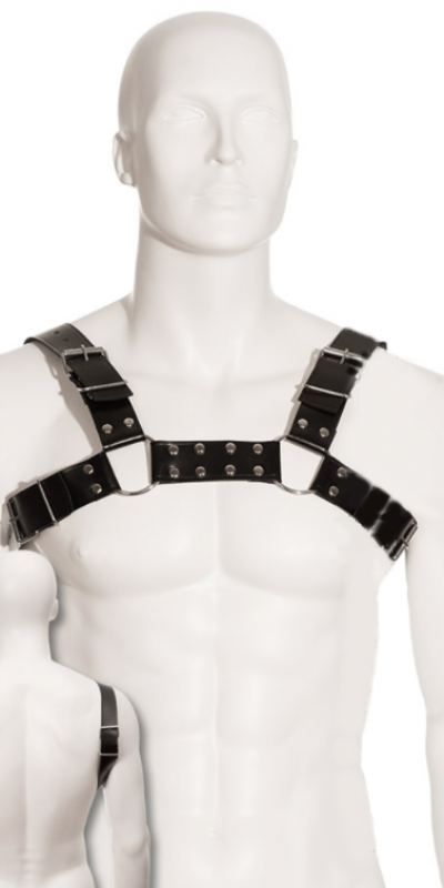 BLACK BULL DOG HARNESS Lingerie sexy et sophistiquée pour mettre en valeur la sensualité