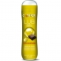 Lub gel lubrifiant chocolat 75 ml