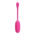 Description d'œuf vibrant en silicone premium